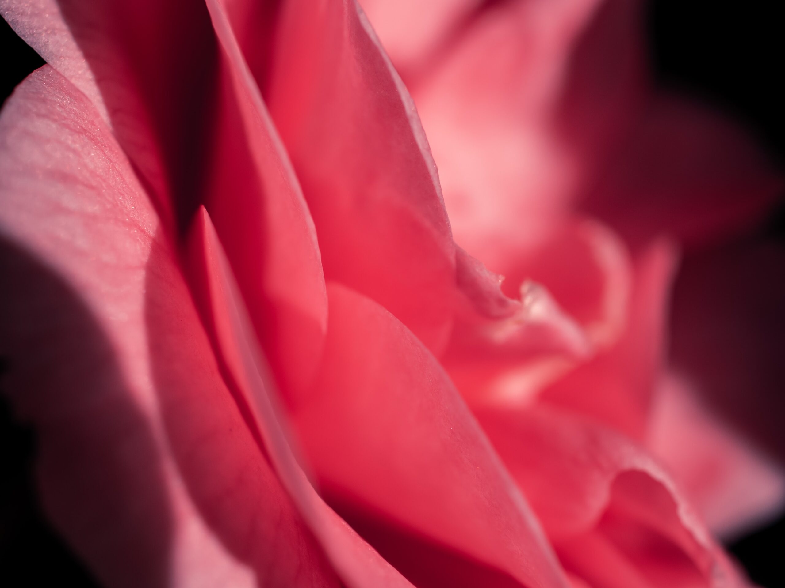 You are currently viewing A Sacred Sanctuary for healing and transformation